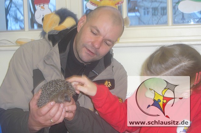Igel in der Schule mt_gallery:Igel in der Schule