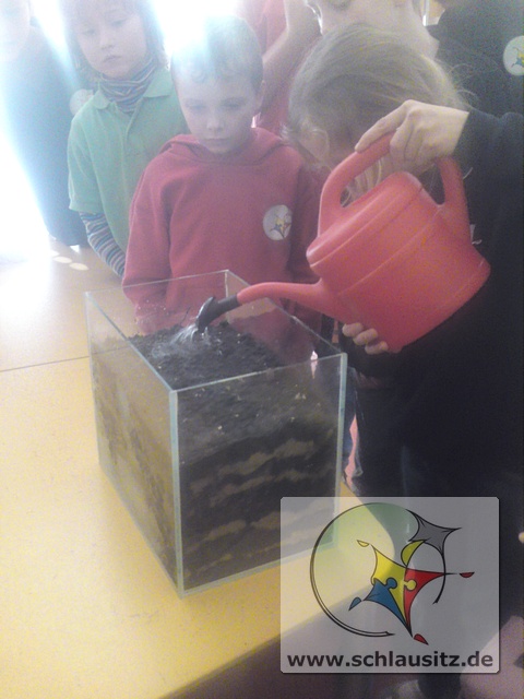 mt_gallery: Regenwurmprojekt