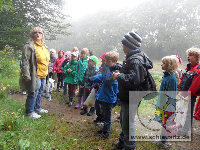 Grundschulausflug in den Wald