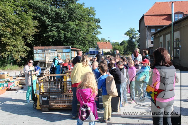 mt_gallery: Exkursion zum Wertstoffhof