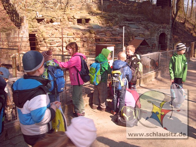 Grundschüler besuchen Tierpark Senftenberg im Rahmen der Märchentage 2015