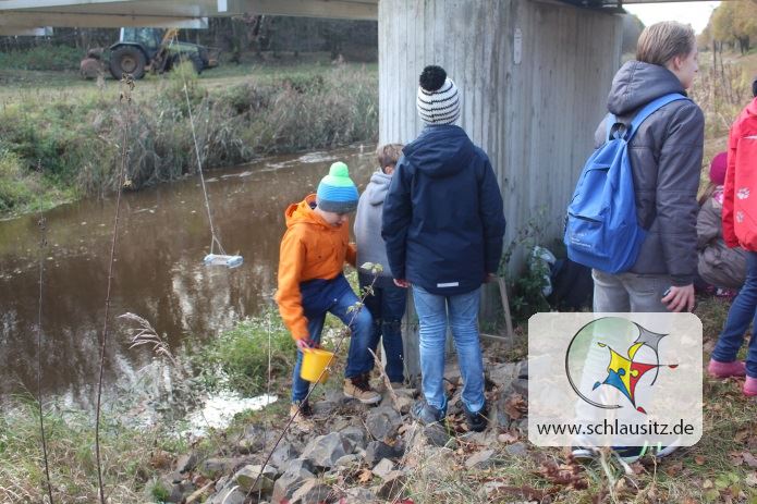 Die Grundschule ist die Beste. 