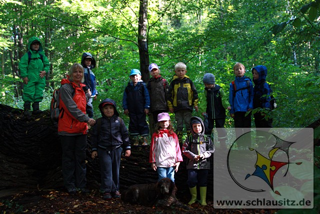 mt_gallery: Mit dem Förster im Wald unterwegs.