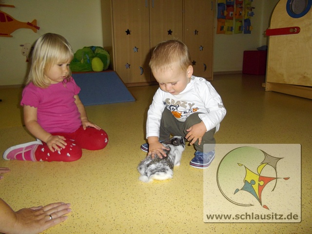 mt_gallery: Häschen bei den Glühwürmchen