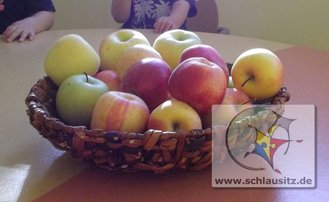 mt_gallery: Apfelernte bei den Glühwürmchen