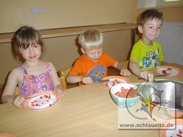 mt_gallery: Erdbeereis selber machen