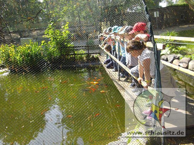 Unser Wandertag in den Tierpark Senftenberg
