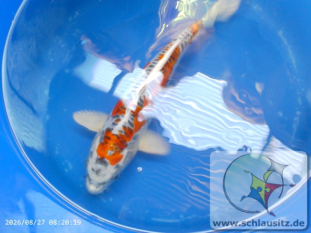 Image00005